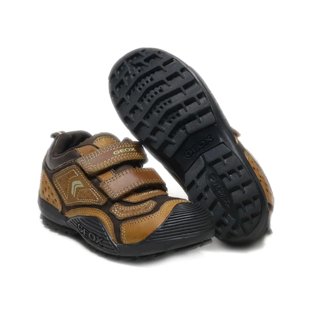 Geox Sport Shoes Leather Brown Colour For Kids