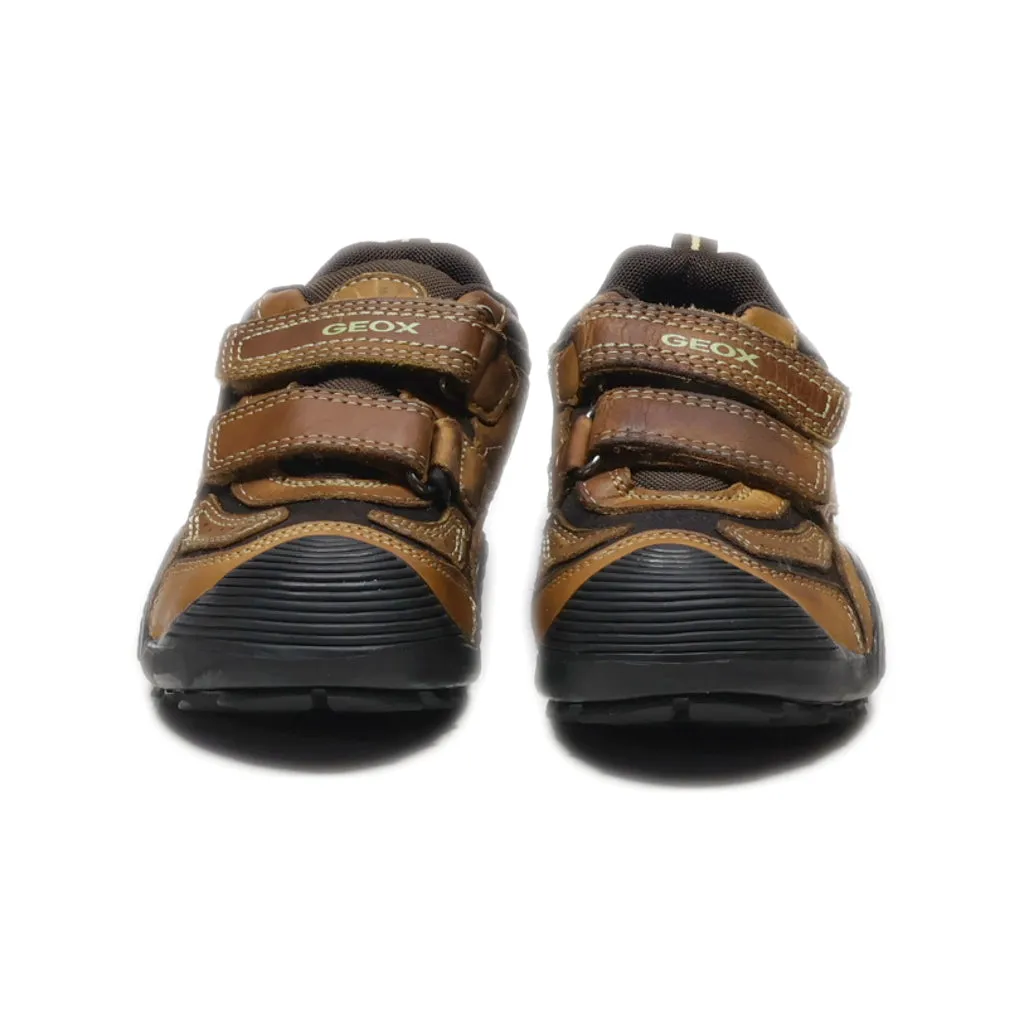 Geox Sport Shoes Leather Brown Colour For Kids