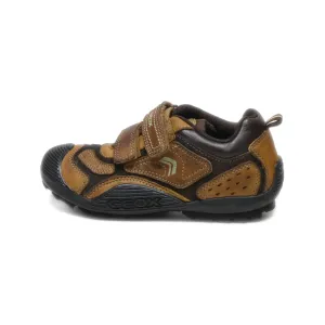 Geox Sport Shoes Leather Brown Colour For Kids